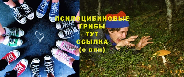 крисы Абаза