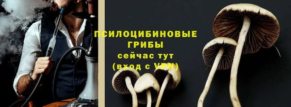 тгк Алзамай