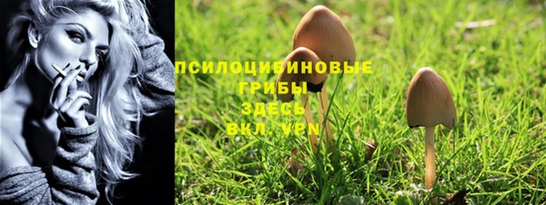 крисы Абаза