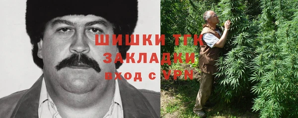 крисы Абаза