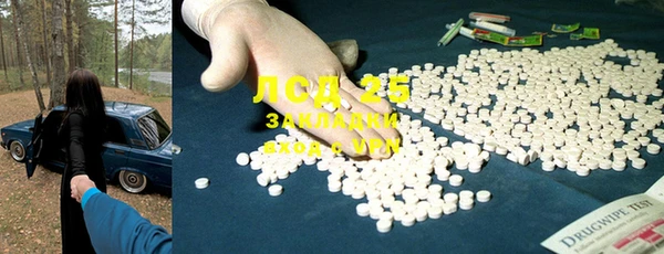 тгк Алзамай