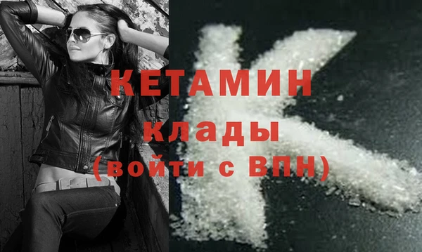 крисы Абаза
